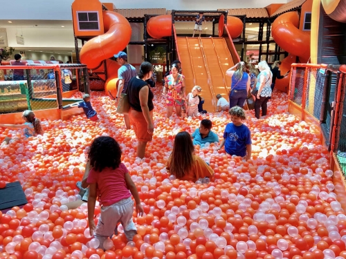 img 8062 easy resize.com