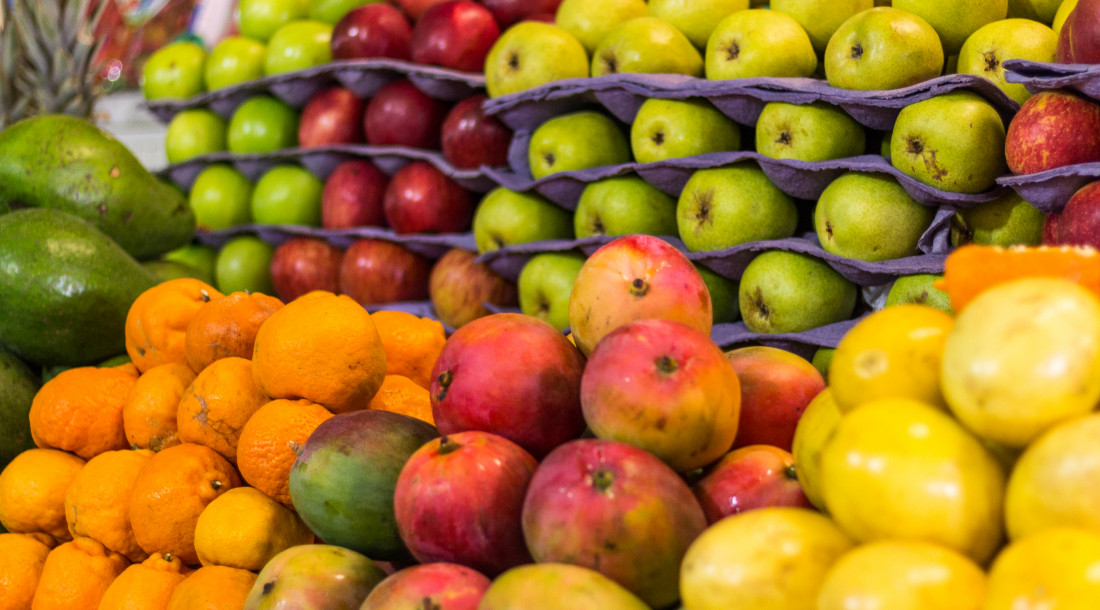 capa matéria nutricionista