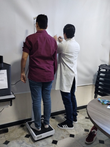 ipes ate você spm (4)