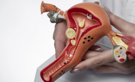 sugestão de capa crédito freepik