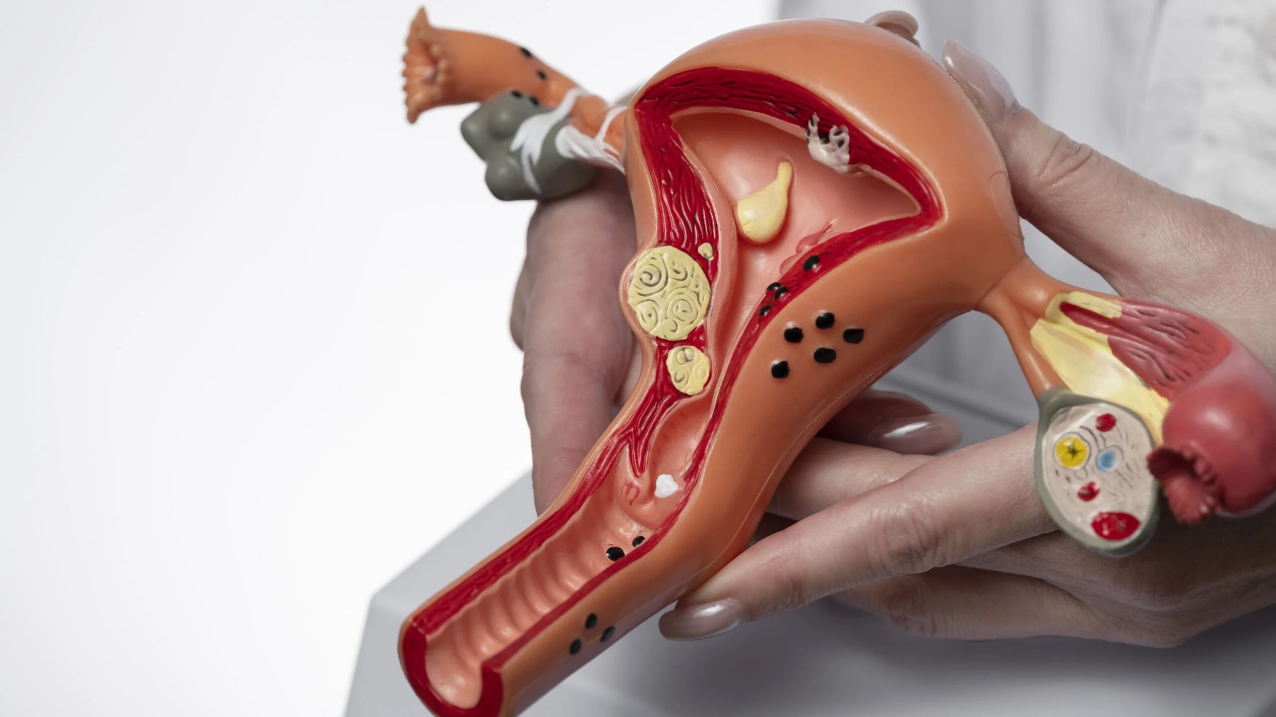 sugestão de capa crédito freepik